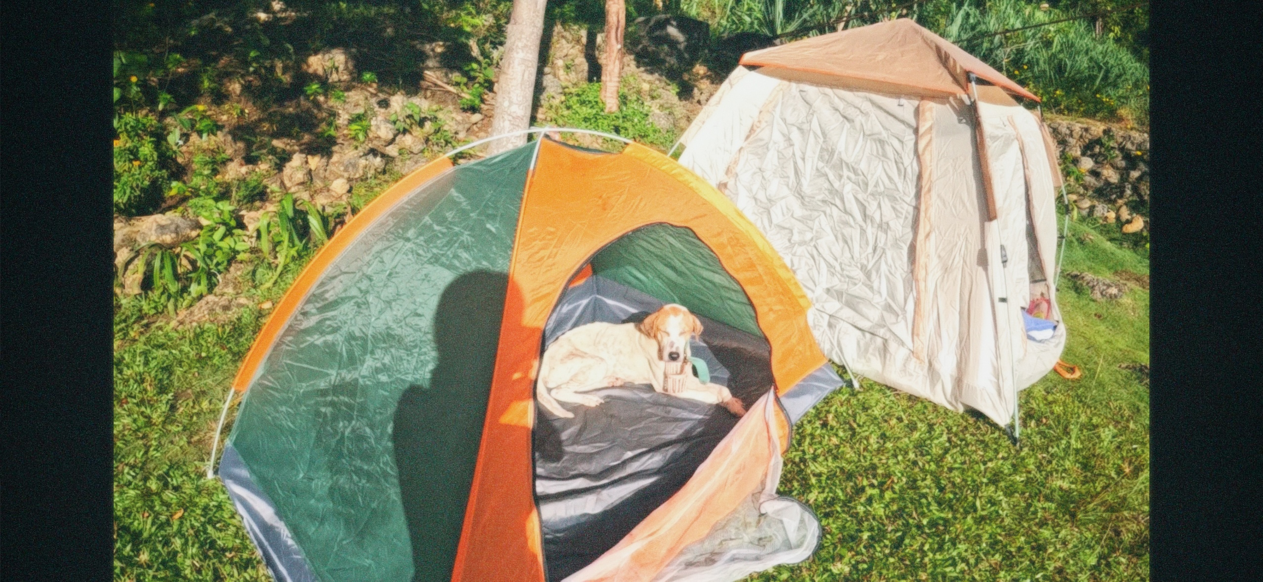 Real & raw road trip through Southern Philippines (with a dying dog in tow)